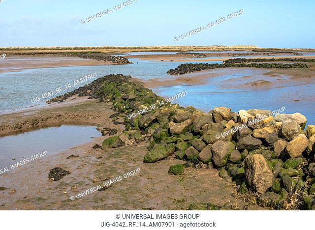Views of mudflat at low tide from Norfolk Coast path National Trail near Barnham Overy Staithe, East Anglia, England, UK