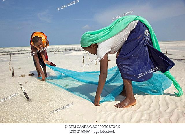 Young muslim girls in colorful dress with fishnet on Jambiani beach, Zanzibar Island, Tanzania, East Africa