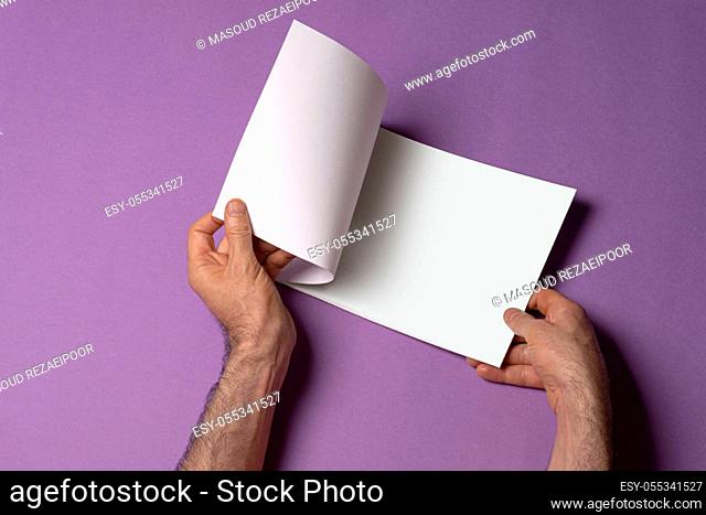 Male hand opened a catalog on purple background, mock-up series template ready for your design-selection path included