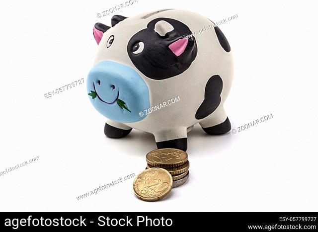Piggy bank isolated on white background with shadow