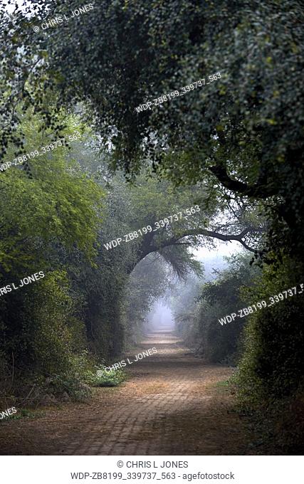 Bharatpur Sanctuary walkway, Rajasthan, India