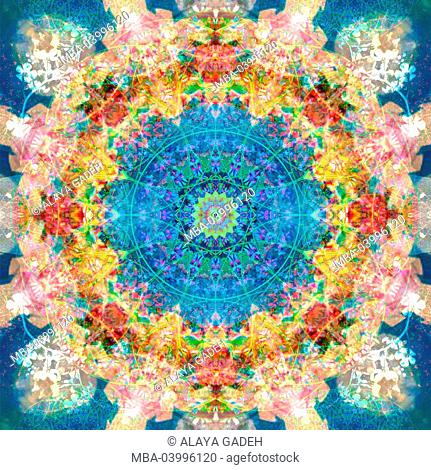 a mandala ornament from flower photographs, conceptual layer work