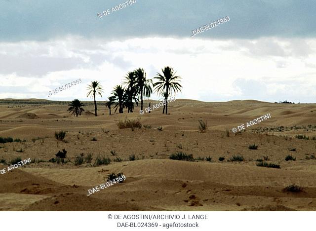 Landscape near Douz, Sahara Desert, Tunisia