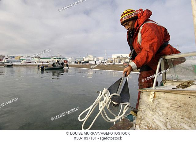 Inuit, Theo ikummaaq prepares to throw anchor from his small boat in the bay in front of town  1Igloolik or Iglulik, Nunavut, northern Canada October 2006