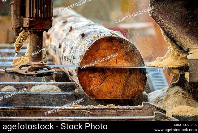 Solingen, North Rhine-Westphalia, Germany - Spruce trunk, here spruce wood infested by bark beetles, beetle wood, is processed into construction wood