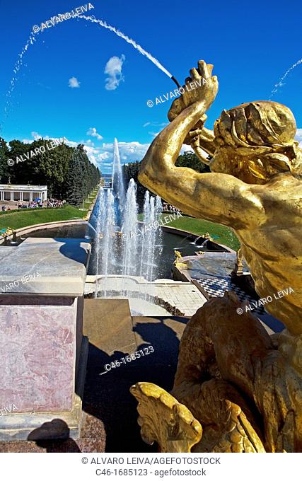 Golden statues and water works at Peterhof Park  Petrodvorets, St  Petersburg  Russia