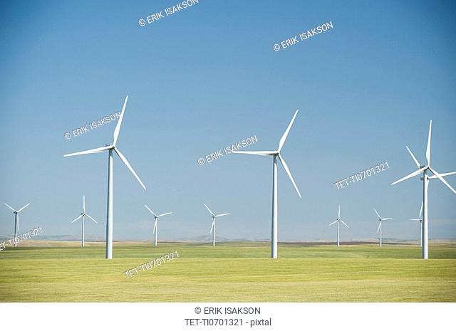 Windmills on wind farm