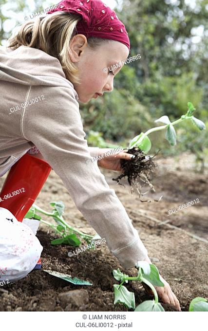 Young girl planting vegetables