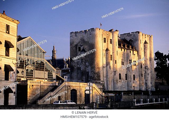 France, Deux-Sèvres (79), Niort city, Donjon Museum and the central food market in the background
