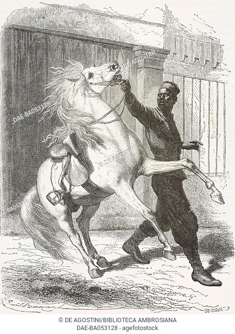 Senegalese Spahi (guard) with a horse, Senegal, drawing by Emile Bayard (1837-1891) from a photograph, from Croisieres a la cote d'Afrique, 1868