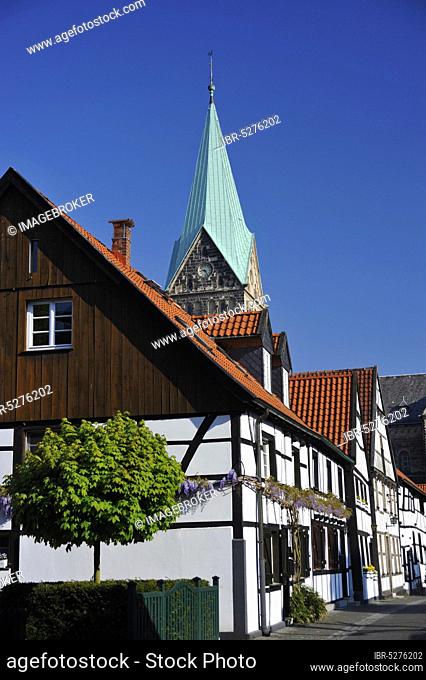 Old Village, Herten, Ruhr Area, North Rhine-Westphalia, Germany, Europe