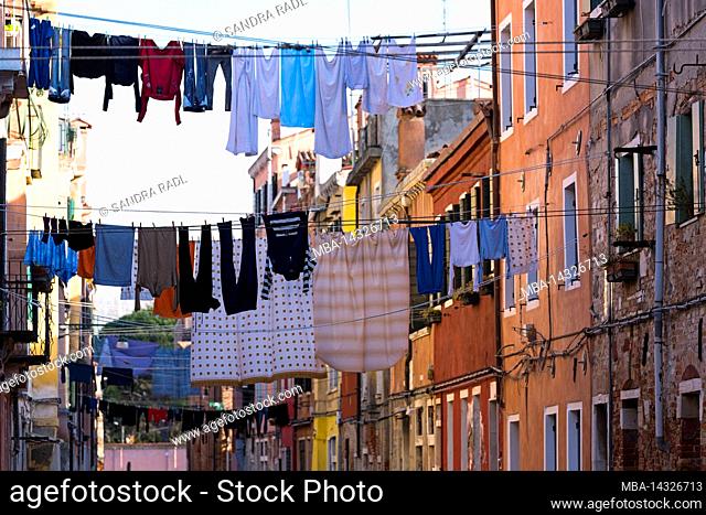 The clotheslines stretched between the colorful house facades in Castello hang full of laundry, Italy, Veneto, Venice