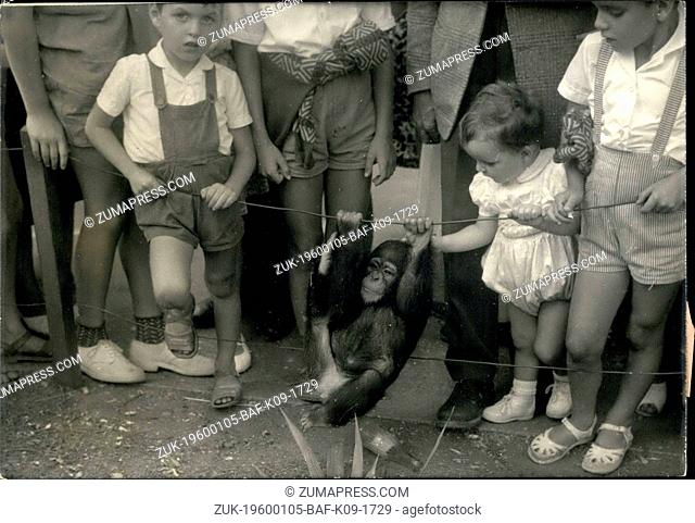 1972 - What a monkey.: Sissy is one of the Greatest attraction in the Paris Zoo at Vincennes. The young monkey on liberty between the children is the joy of the...