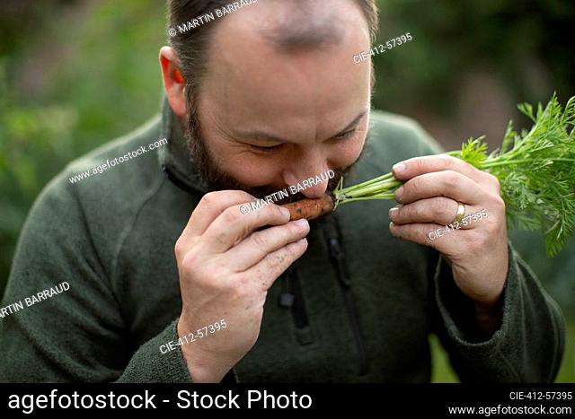 Close up man smelling fresh harvested carrot