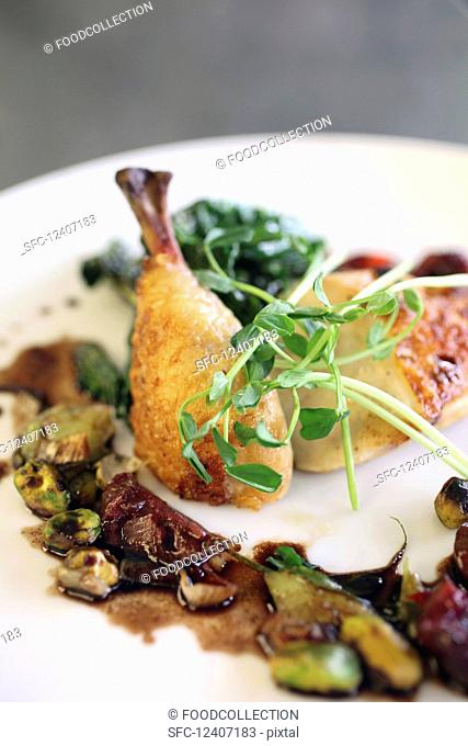 Roasted chicken with leeks, pistachios and cherries in a balsamic reduction