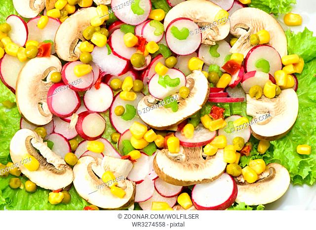 Frischer Salat mit Champignon Pilzen und Radieserl