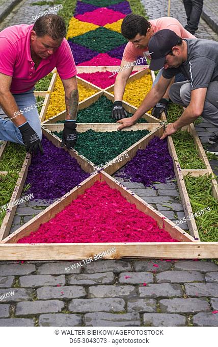 Portugal, Azores, Sao Miguel Island, Ponta Delgada, Festa Santo Christo dos Milagres festival, workers use dyed wood shavings with stencils to make street...