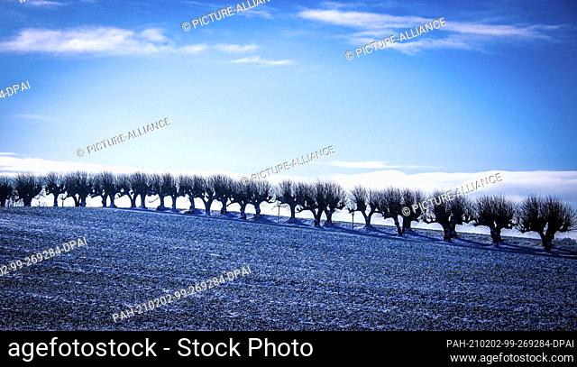 02 February 2021, Mecklenburg-Western Pomerania, Klütz: Snow lies in front of the approximately 300-metre-long linden avenue in front of Bothmer Castle