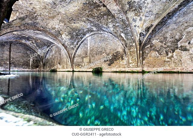 Fonte Branda, watering place, Siena, Tuscany, Italy, Europe
