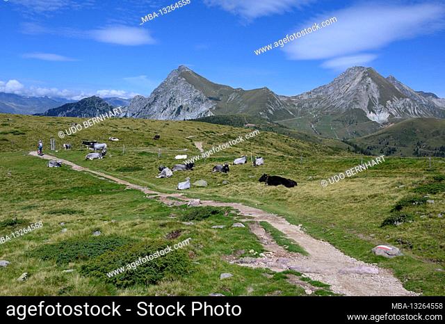 Italy, Trentino-Südtirol / Alto Adige, South Tyrol, Sarntal Alps, Tschoegglberg, high plateau, Verano, Meran 2000 Bike Region Trail Tolerance Singletrail MTB...