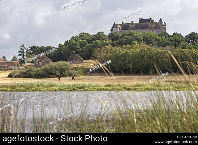 Etang de la Mer Rouge avec le Chateau du Bouchet en arriere-plan, Parc naturel regional de la Brenne, departement de l'Indre, Province historique du Berry