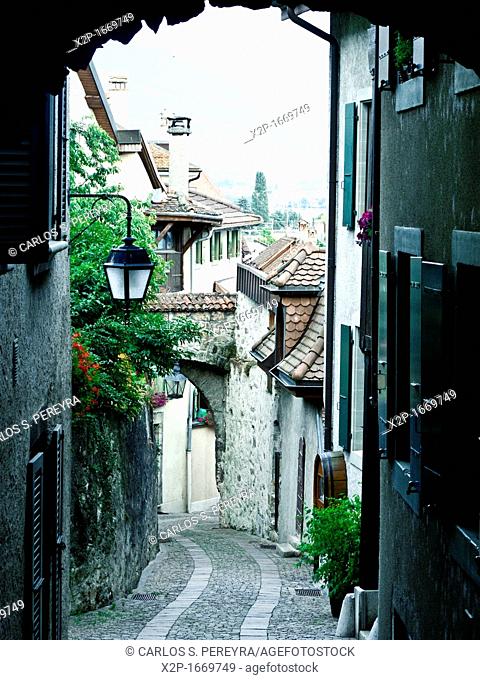 Saint-Saphorin village in the Lavaux UNESCO World Heritage region, Vaud, Switzerland, Europe