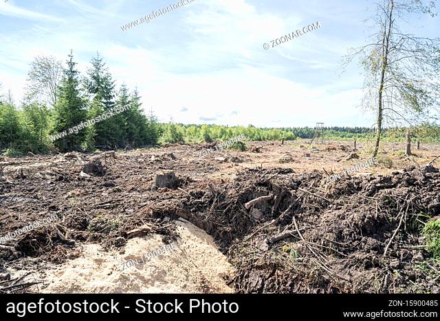 Die niedersächsischen Landesforsten renaturieren wiedervernässen) ein Moor im Solling bei Holzminden-Neuhaus; verschließen eines Entwässerungsgrabens / Forestry...