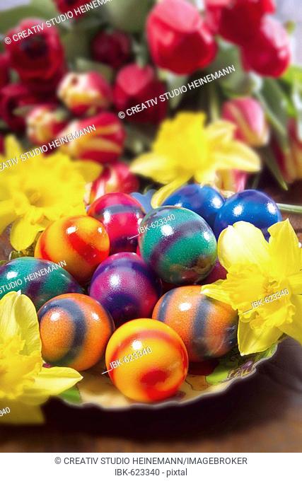 Coloured Easter eggs and flowers, daffodils and tulips