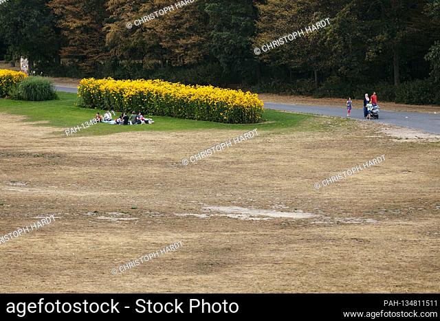 The summer heat and the lack of rain caused large parts of the parks in Bonn's Rheinaue to wither and caused considerable pitch damage. Bonn, 14.08