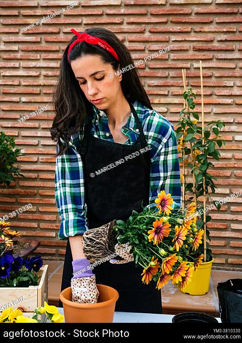 Beautiful Young woman gardening at home planting flowers in pots
