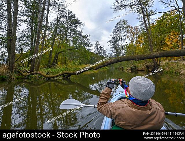 05 November 2023, Brandenburg, Reitwein: A water hiker is on his kayak on the Old Oder, or more precisely on the Padde. The Old Oder is the name given to...