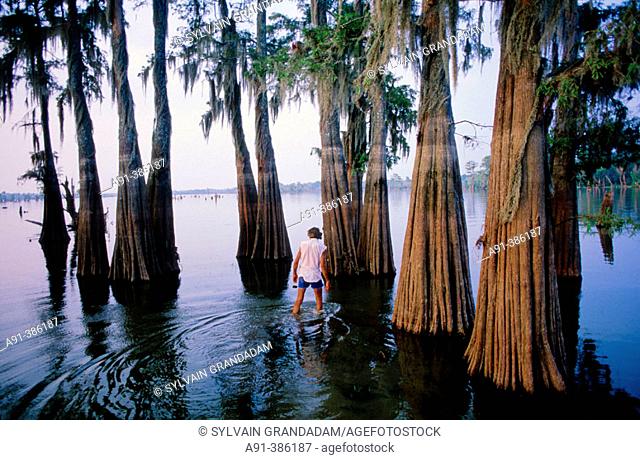 Atchafalaya bayou and swamps. Louisiana. United states (USA)