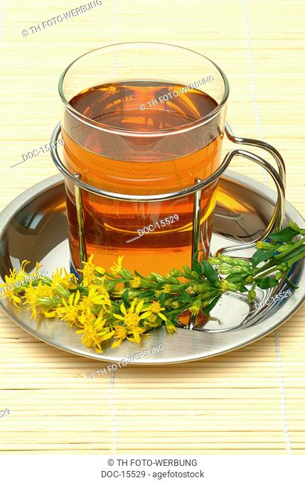 Golden rod - Solidago virgaurea - medicinal tea - medicinal plant - herbtea - te - infuso - tisana -