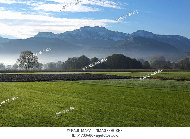 Morning landscape, Chiemgau, Upper Bavaria, Germany, Europe