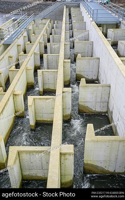 17 February 2023, Saxony-Anhalt, Friedersdorf: A fish ladder at the new hydropower plant allows fish to migrate up the river
