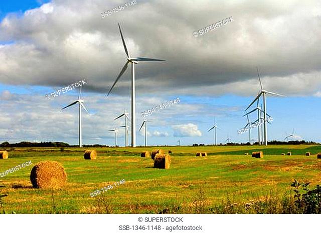 Hay bales and wind turbine in a field, Prince Edward Island, Canada