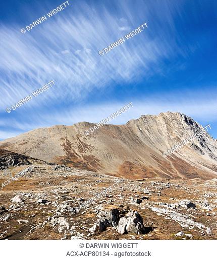Mount Wilcox from Wilcox Pass, Jasper National Park, Alberta, Canada