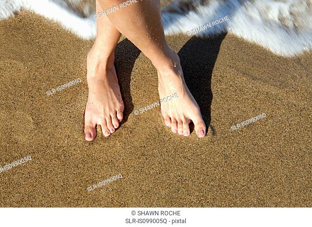 Woman's bare feet on sandy beach