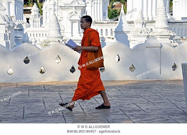 monk at Wat Suan Dok Temple, Thailand, Chiang Mai