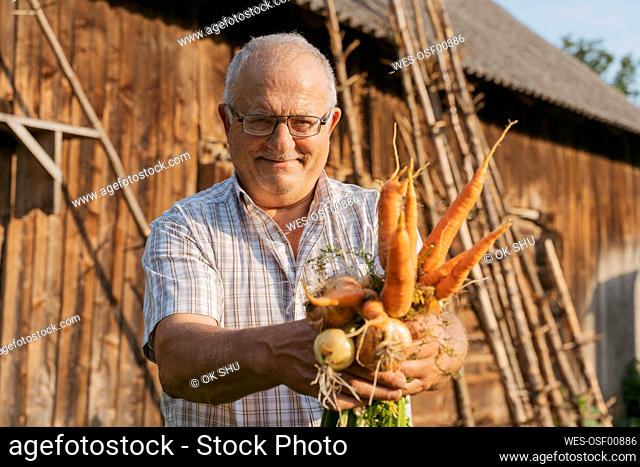 Smiling farmer showing carrots and onions standing at back yard on sunny day