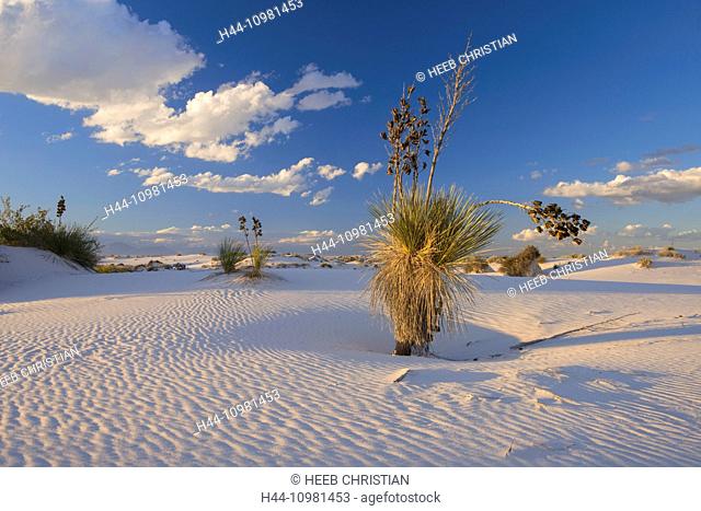 White Sands National Monument National Park