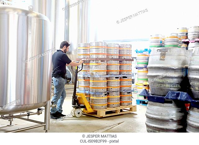 Worker in brewery organising beer barrels for delivery