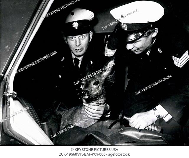 May 15, 1956 - Police Officers with Deer from Autobahn (Credit Image: © Keystone Press Agency/Keystone USA via ZUMAPRESS.com)