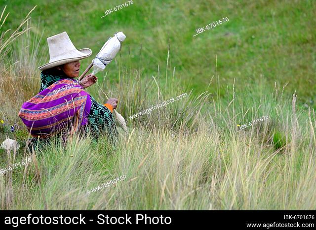 Indigenous woman sitting in the meadow spinning wool, Cumbe Mayo, Cajamarca province, Peru, South America