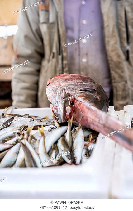 Large swordfish on top of styrofoam boxes of freshly caught fish on a fishermen boat in Zakynthos Port, Zakynthos City, Ionian island, Greece