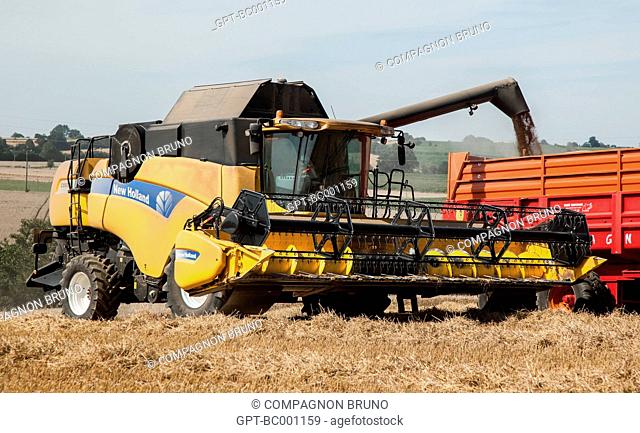COMBINE HARVESTER IN A WHEAT FIELD DURING THE HARVEST, ESSAY, ORNE (61), FRANCE