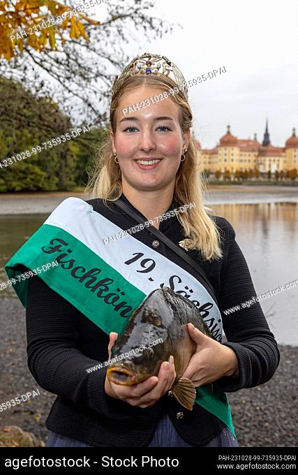 28 October 2023, Saxony, Moritzburg: Charlotte Opitz, 19th Saxon Fish Queen, stands with a 1.8 kilogram mirror carp at the traditional fishing at the castle...