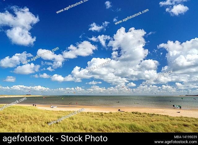 Dunes at the Ellenbogen, List, Sylt Island, Schleswig-Holstein, Germany