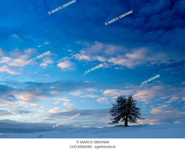 winter landscape at Finonchio mountain, Vallagarina, Trentino, Italy, Europe
