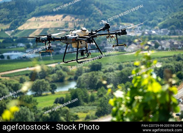 29 July 2022, Rhineland-Palatinate, Klüsserath: A drone sprays tonic over a vineyard on a steep slope. Drone technology offers many opportunities for...